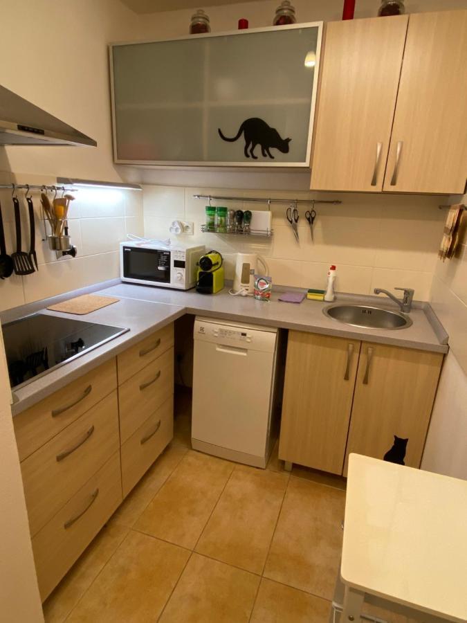 Apartments Piknik Tatranská Lomnica Extérieur photo